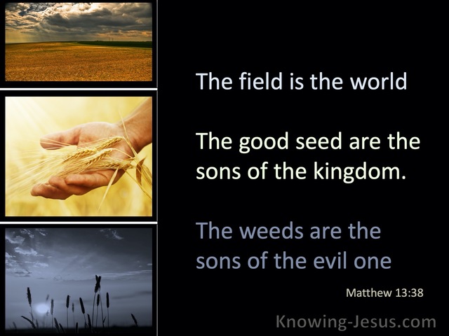 Matthew 13:38 The Field Is The World (black)